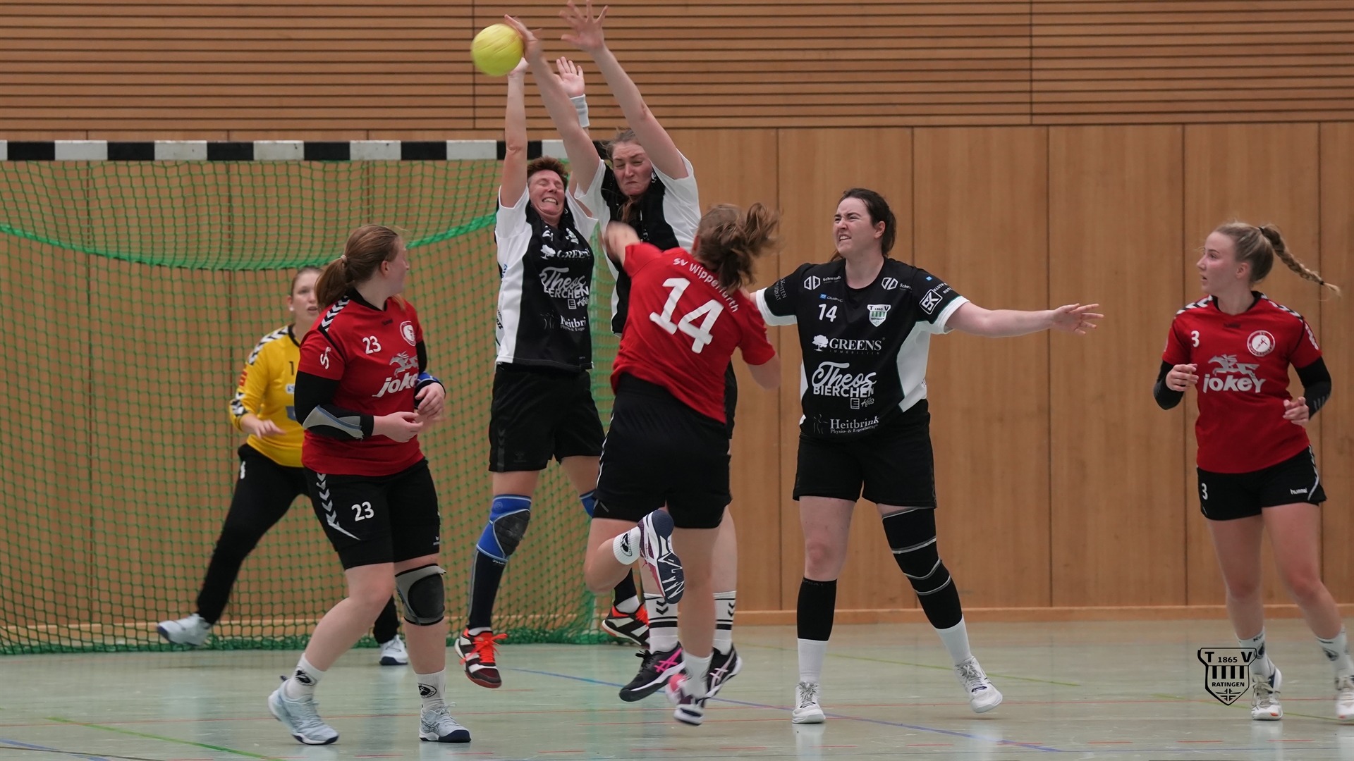 1. Damen teilen sich die Punkte mit Wipperfürth